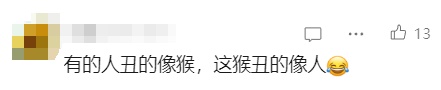 “颜值”出圈！这只猴竟“丑”上热搜了！保育员：属于耐看型