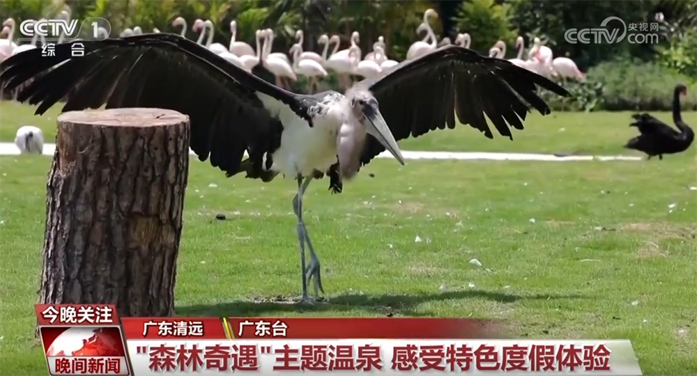 从“观光式”向“沉浸式”转变 “五一”假期文旅消费“热力值”持续攀升 从“观光式”向“沉浸式”转变 “五一”假期文旅消费“热力值”持续攀升