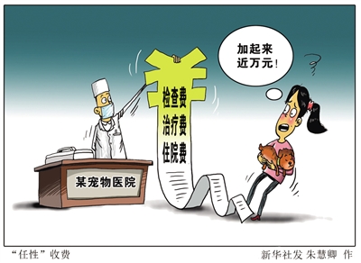 资质不全 收费混乱 劣药泛滥 &nbsp; &nbsp;宠物医疗市场“野蛮生长”调查