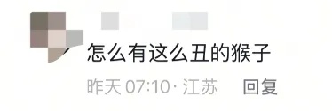 “颜值”出圈！这只猴竟“丑”上热搜了！保育员：属于耐看型