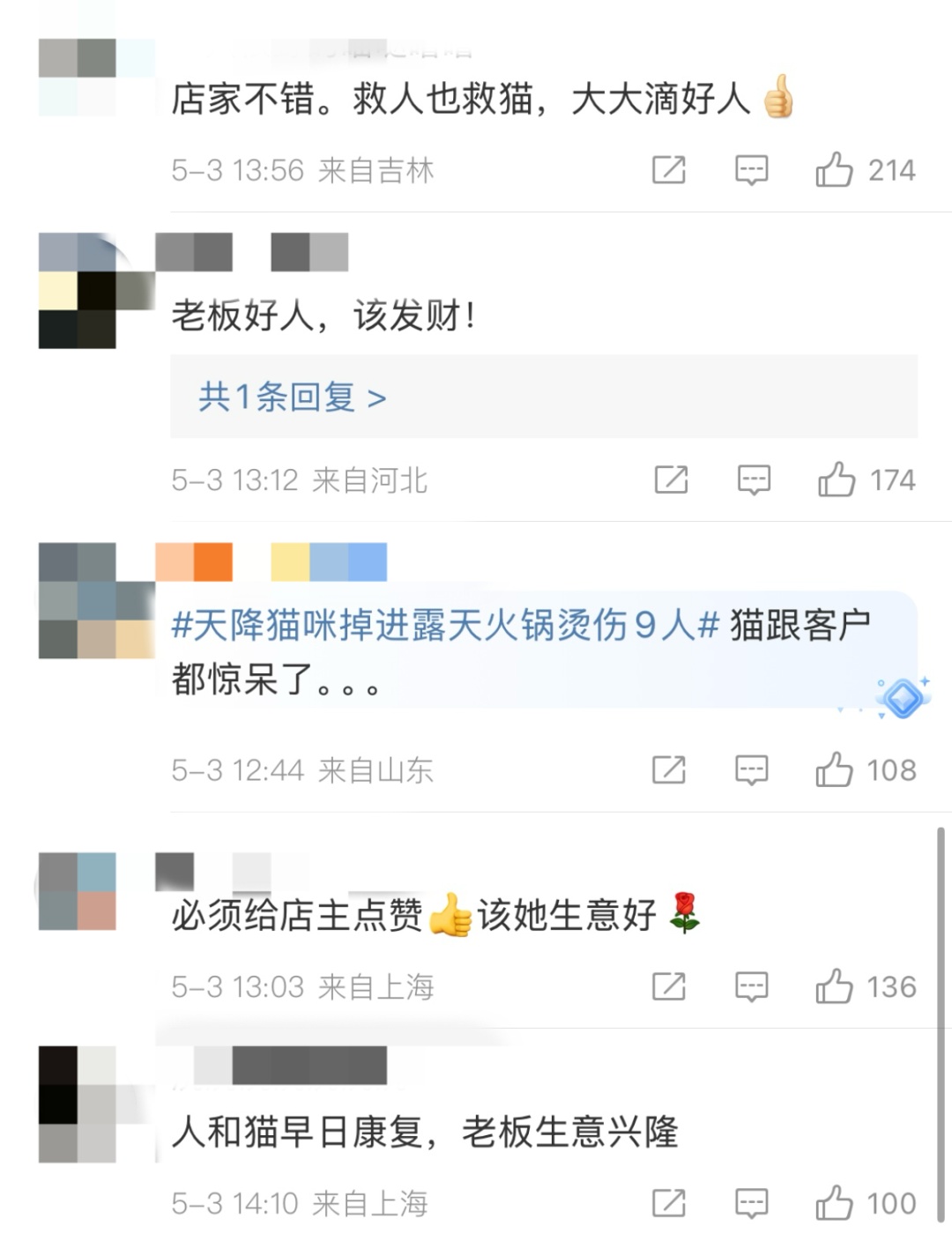 凌晨病情突然恶化，网红猫咪“五一”已确认死亡