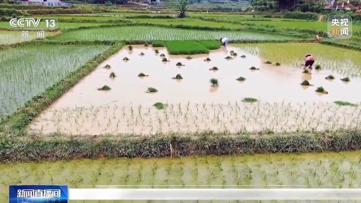 立夏时节 夏天真的来了吗？
