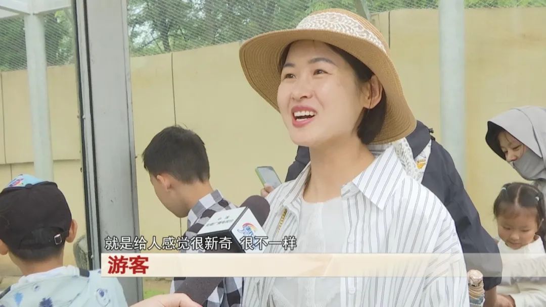 “国字脸很新奇！”合肥野生动物园这只猴子火了