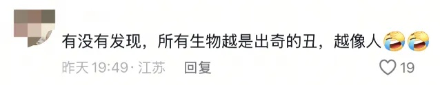 “颜值”出圈！这只猴竟“丑”上热搜了！保育员：属于耐看型