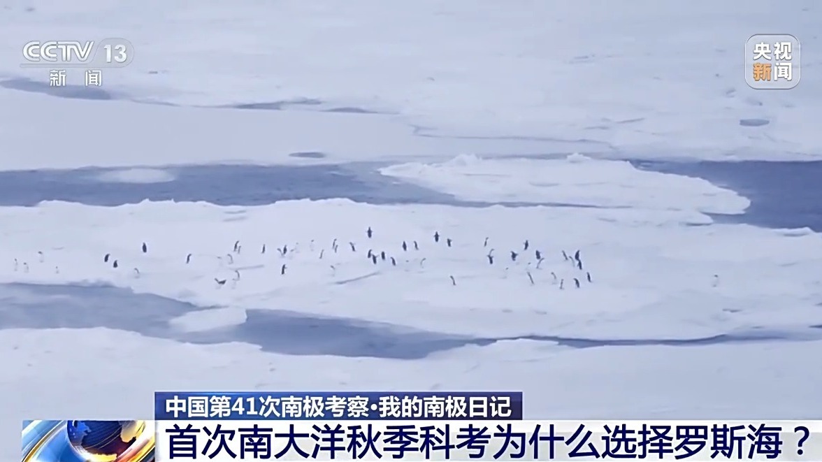 我的南极日记丨我国首次南大洋秋季科考为什么选择罗斯海？