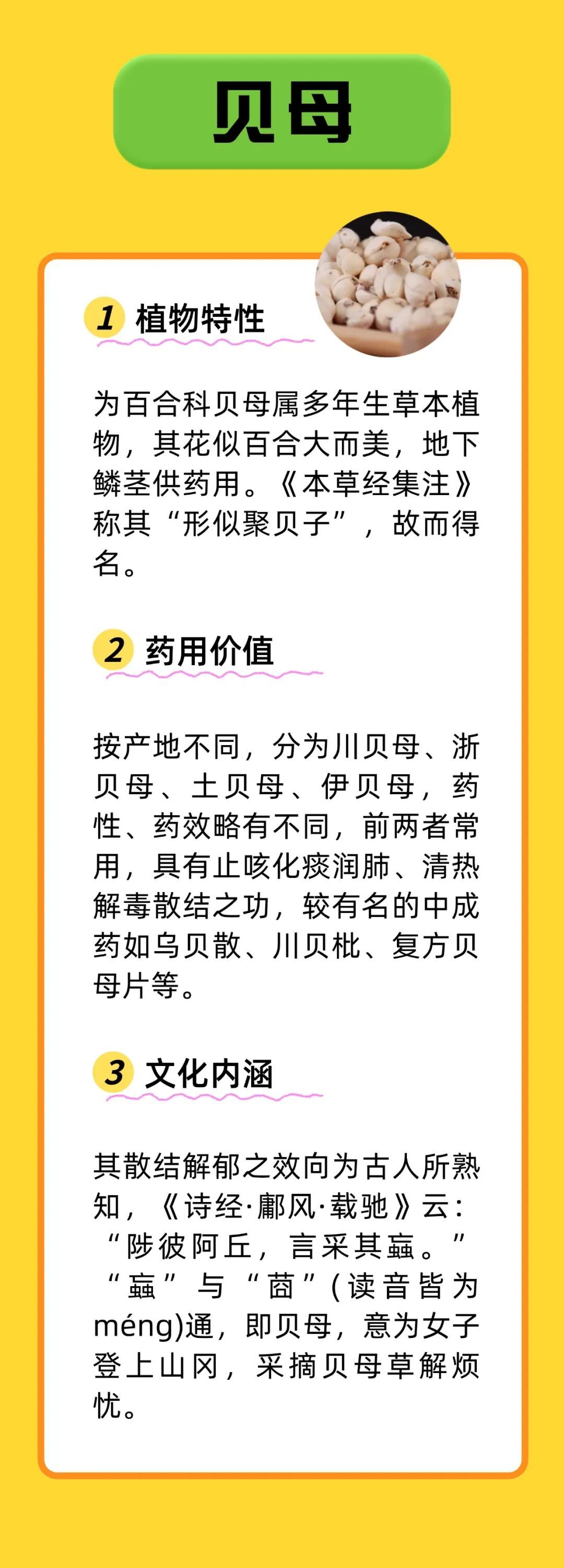 带 “母” 的中药不只有益母草！知母、贝母、珍珠母，你用过哪些？