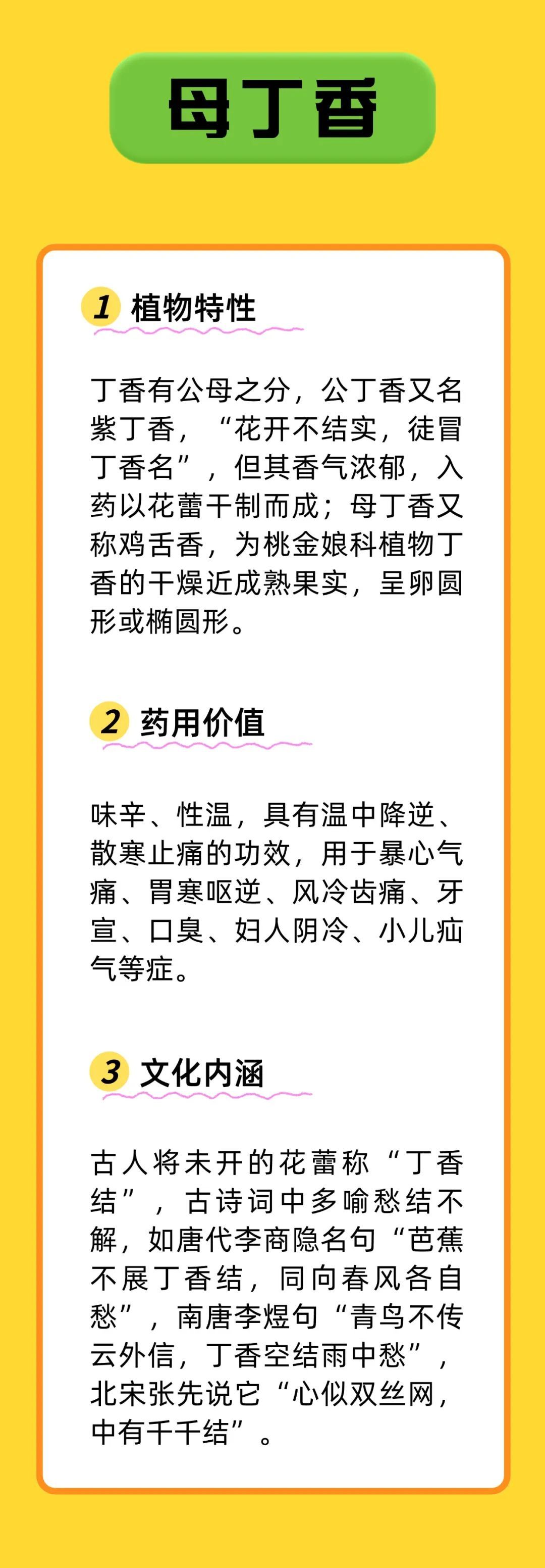 带 “母” 的中药不只有益母草！知母、贝母、珍珠母，你用过哪些？
