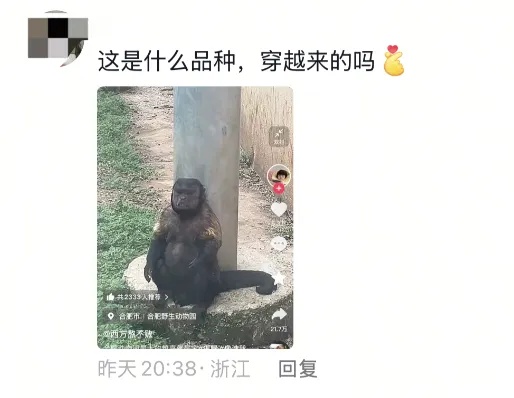“颜值”出圈！这只猴竟“丑”上热搜了！保育员：属于耐看型