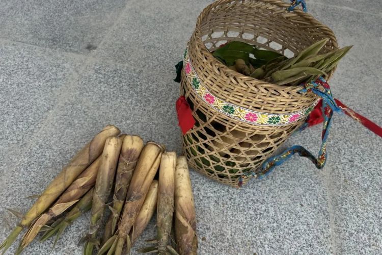 12公里山路，74岁老人走了4个小时，只为见到他……