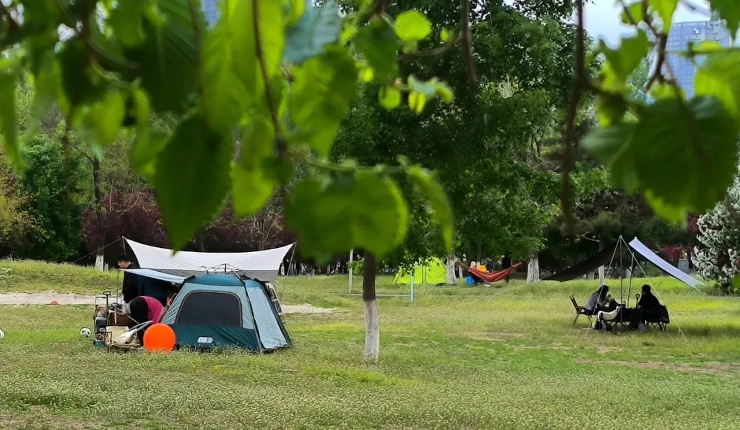 明天开始,沈阳天天都有雨!一直持续到…… 明天开始,沈阳天天都有雨!一直持续到……