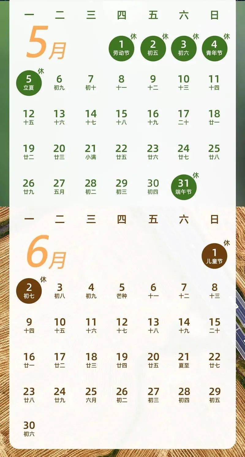 上海“下雪”了?有网友拍到了!今早这一幕惊艳 上海“下雪”了?有网友拍到了!今早这一幕惊艳