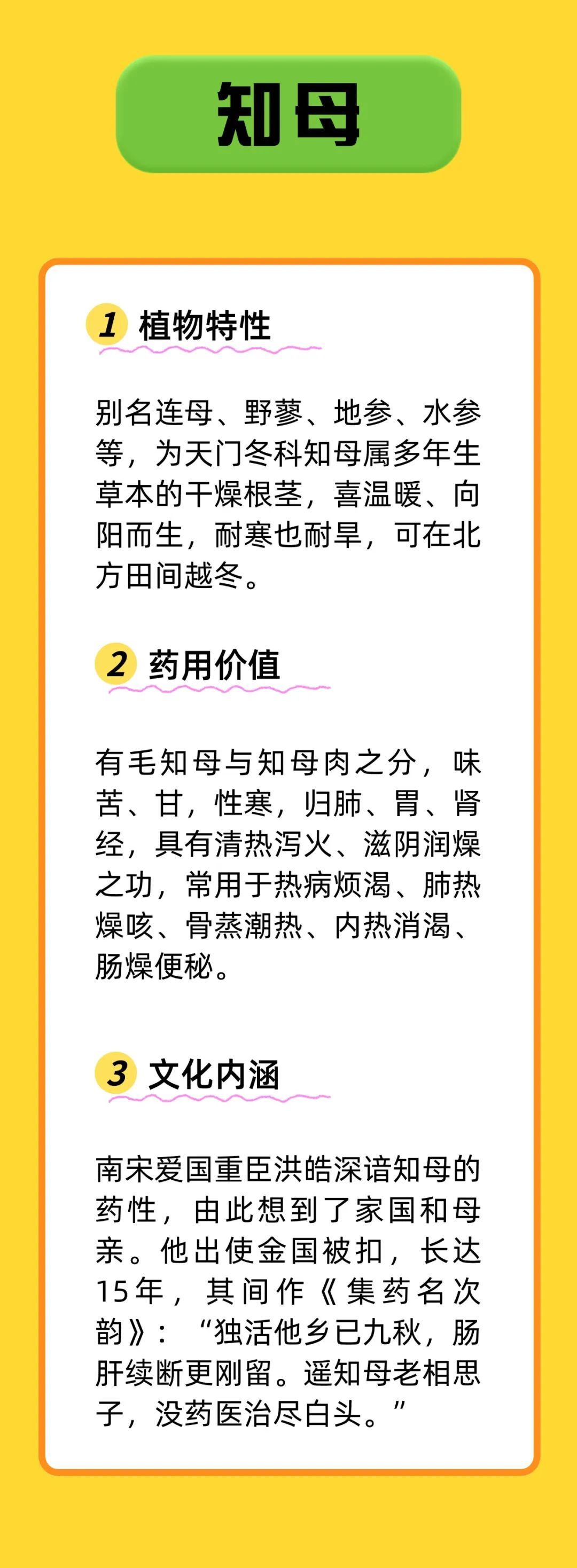 带 “母” 的中药不只有益母草！知母、贝母、珍珠母，你用过哪些？