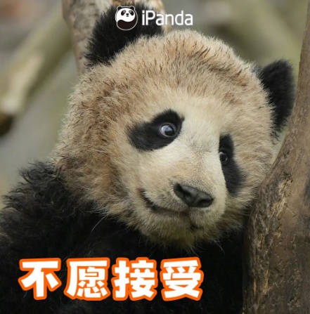 专家建议:节后上班第一天少干活儿 专家建议:节后上班第一天少干活儿