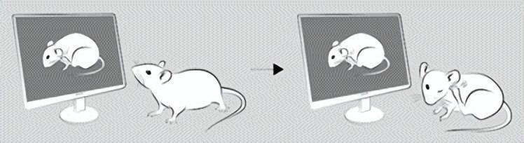 挠一挠确实可以止痒,但也会变得更痒!华人科学家揭秘人体为何会这 挠一挠确实可以止痒,但也会变得更痒!华人科学家揭秘人体为何会这