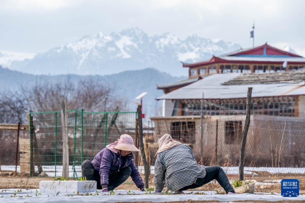 中国之城丨香格里拉：雪山和森林拥抱的高原之城