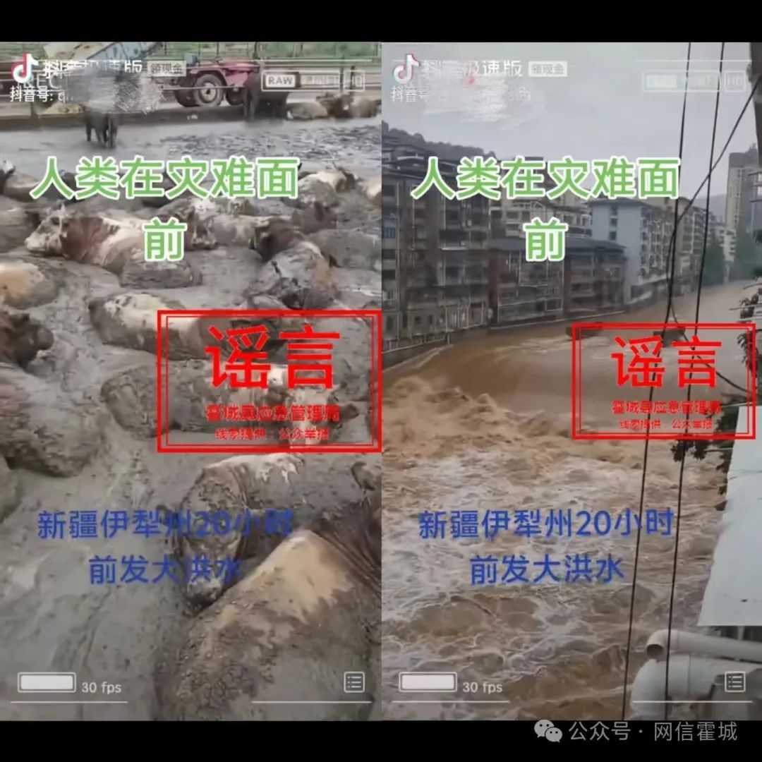 伊犁一地山洪冲城牲畜死亡？当地回应