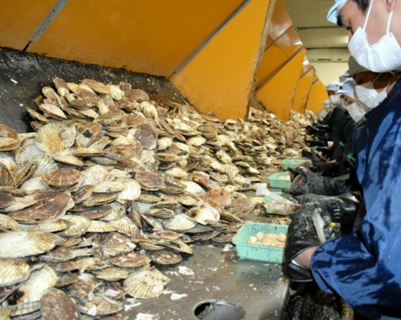 “跌落的50年”+美国关税,日本民众感慨“雪上加霜” “跌落的50年”+美国关税,日本民众感慨“雪上加霜”