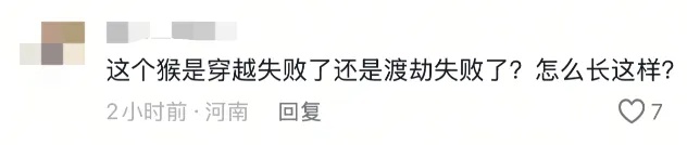 “颜值”出圈！这只猴竟“丑”上热搜了！保育员：属于耐看型