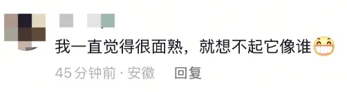 “颜值”出圈！这只猴竟“丑”上热搜了！保育员：属于耐看型