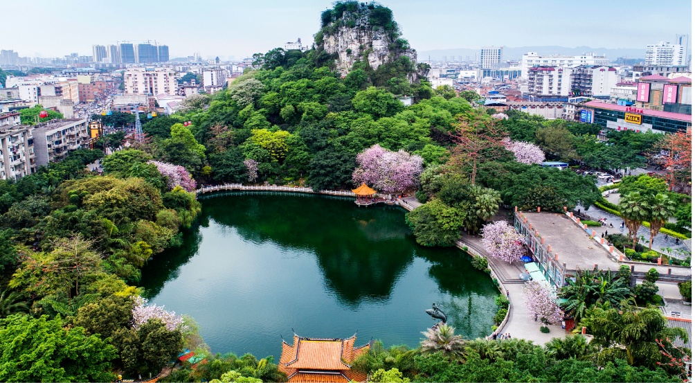 “踏歌”山水间：年轻玩法激活传统IP