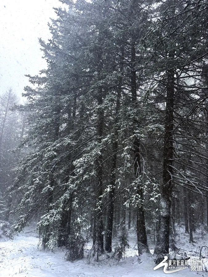 宁武芦芽山五月雪景惊艳初夏