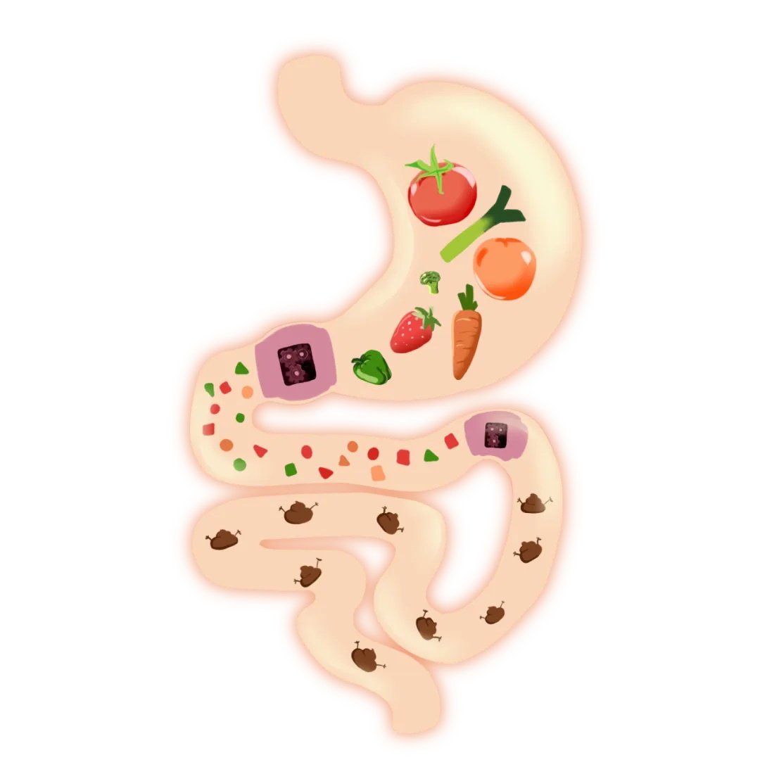 一便秘就用它，浙江老人直肠穿孔进了ICU！医生紧急提醒