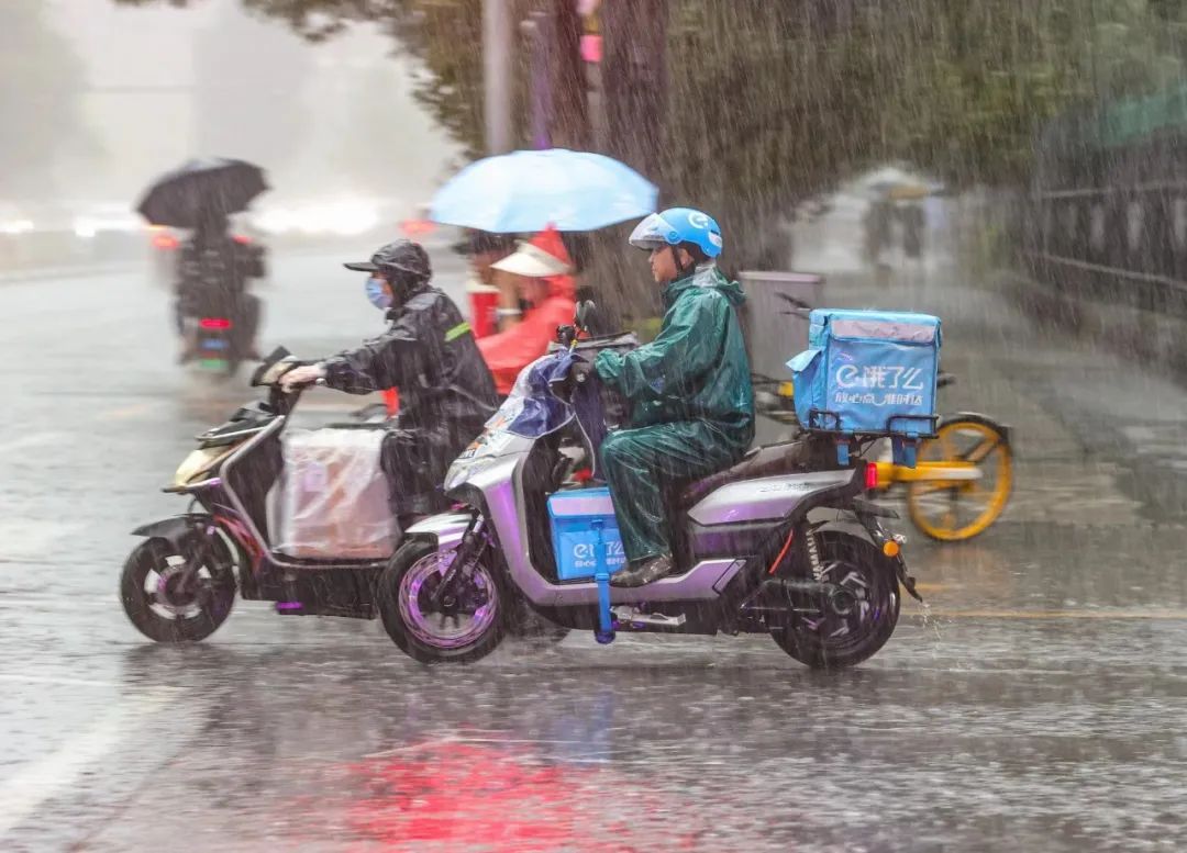 沈阳人请注意！明起连续四天雨雨雨！“过敏星人”本周请提前开启防护模式