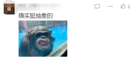 “颜值”出圈！这只猴竟“丑”上热搜了！保育员：属于耐看型