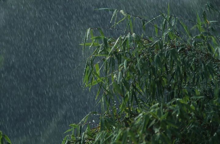 江苏气象预告：降温！暴雨！9级大风！
