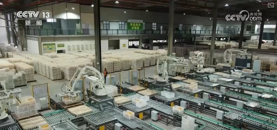 经营韧性强!投资、就业……多维度观察物流“快跑” 经济“硬支撑”更稳 经营韧性强!投资、就业……多维度观察物流“快跑” 经济“硬支撑”更稳