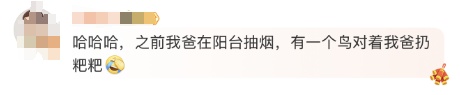 “头剧痛！”男子路边抽烟，后脑勺被猛禽袭击！网友：都说了抽烟有害健康