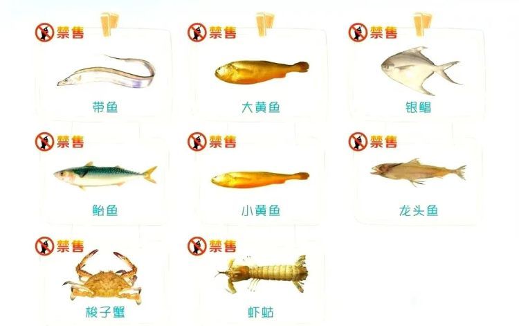 @所有人 这些海鲜已进入禁渔期!近3000斤梭子蟹当场查获! @所有人 这些海鲜已进入禁渔期!近3000斤梭子蟹当场查获!