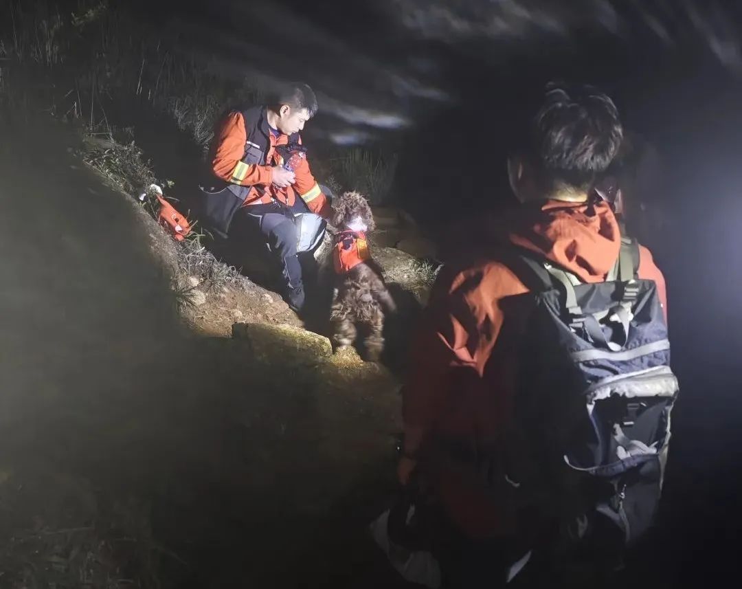 福建8岁男童山中失踪超60小时！消防等力量持续搜救中