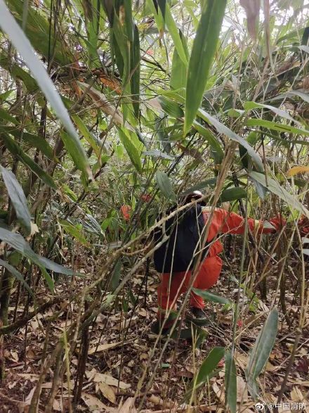 福建8岁男童失踪超60小时 119持续搜救 福建8岁男童失踪超60小时 119持续搜救