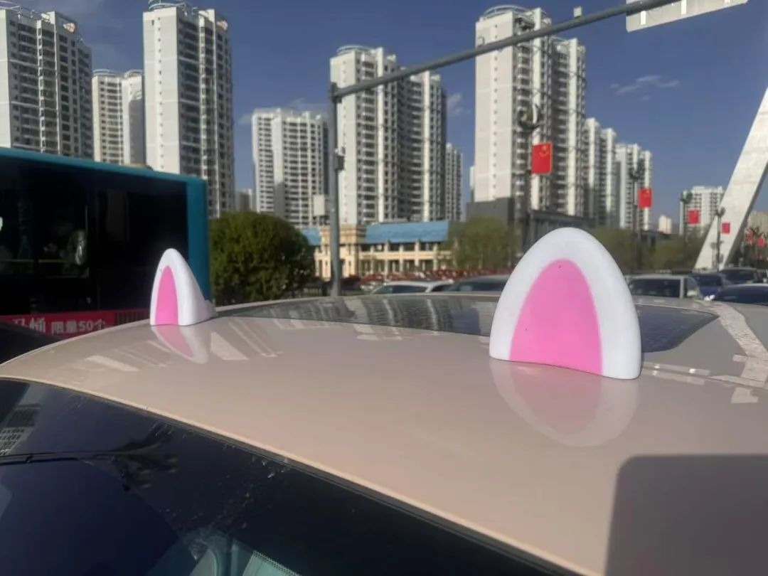 西宁交警提示:车顶玩偶很拉风,其实已经违法了! 西宁交警提示:车顶玩偶很拉风,其实已经违法了!