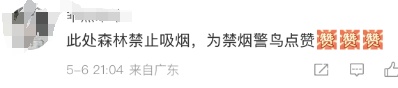 “头剧痛！”男子路边抽烟，后脑勺被猛禽袭击！网友：都说了抽烟有害健康