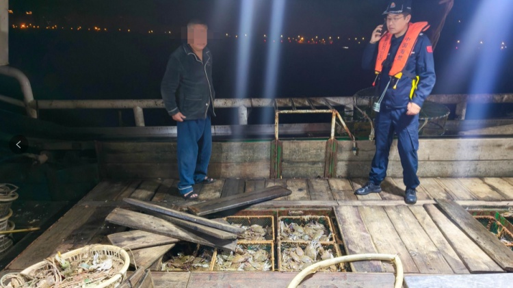 @所有人 这些海鲜已进入禁渔期!近3000斤梭子蟹当场查获! @所有人 这些海鲜已进入禁渔期!近3000斤梭子蟹当场查获!