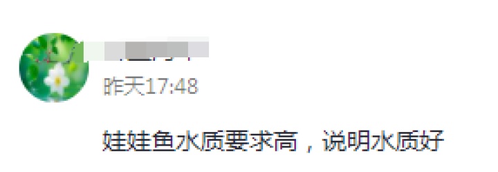 谜题揭晓！西宁湟水惊现奇怪动物，竟是娃娃鱼