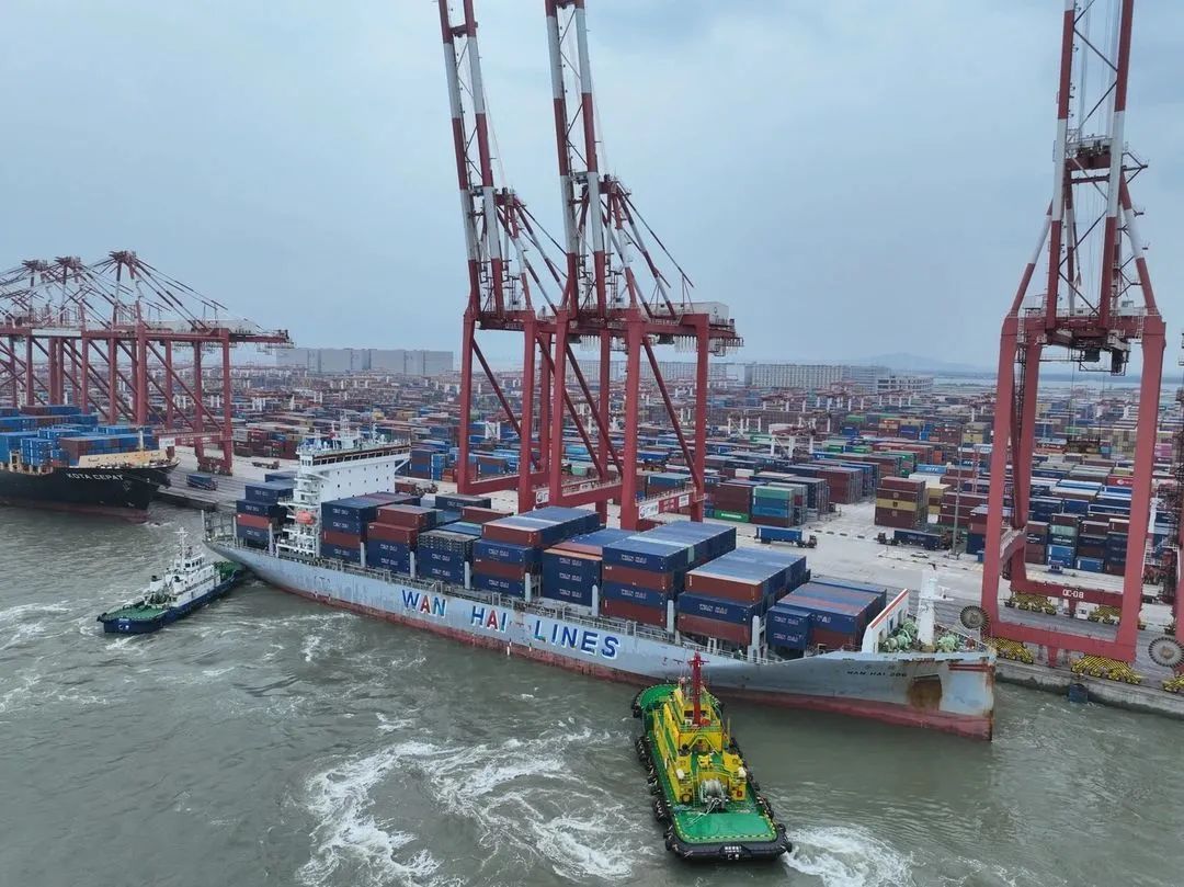 已到1600吨!这种水果“贵族”,价格将迎大跳水 已到1600吨!这种水果“贵族”,价格将迎大跳水