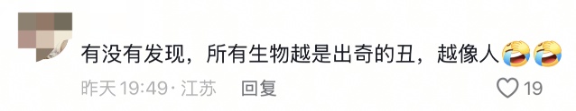 “丑”上热搜!动物园工作人员:属于耐看型 “丑”上热搜!动物园工作人员:属于耐看型