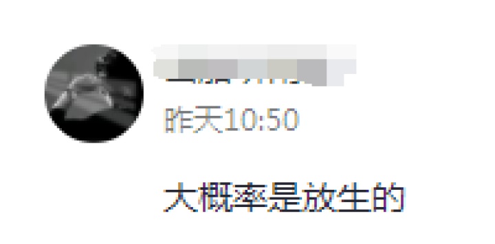 谜题揭晓！西宁湟水惊现奇怪动物，竟是娃娃鱼