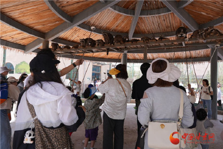 兰州野生动物园“五一”假期累计接待游客7.8万余人次 兰州野生动物园“五一”假期累计接待游客7.8万余人次