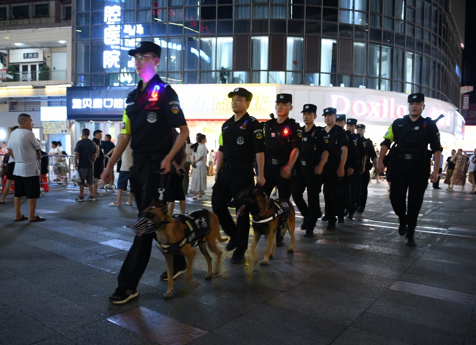 警犬、无人机……深山连续搜救23个小时