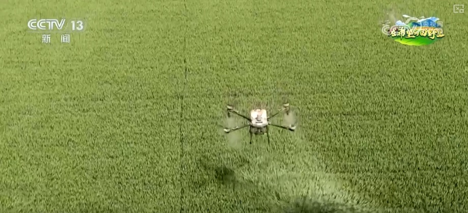 无人机当起“营养师”、“龙门吊”高效运秧 智慧农业夯实粮食丰产基础