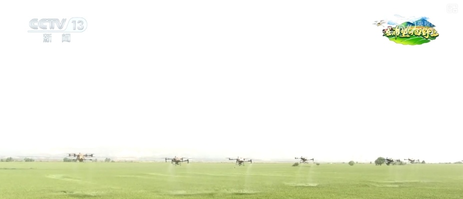 无人机当起“营养师”、“龙门吊”高效运秧 智慧农业夯实粮食丰产基础