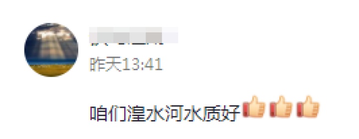 谜题揭晓！西宁湟水惊现奇怪动物，竟是娃娃鱼