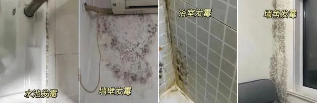警惕！女子换季整理衣柜后肺部 “长霉”，这些藏在衣柜里的致命细节，你中招了吗？