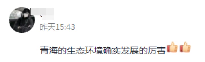 谜题揭晓！西宁湟水惊现奇怪动物，竟是娃娃鱼