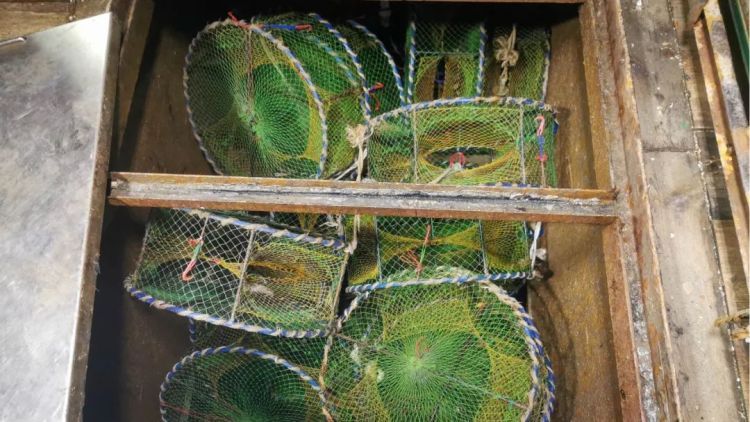 @所有人 这些海鲜已进入禁渔期!近3000斤梭子蟹当场查获! @所有人 这些海鲜已进入禁渔期!近3000斤梭子蟹当场查获!