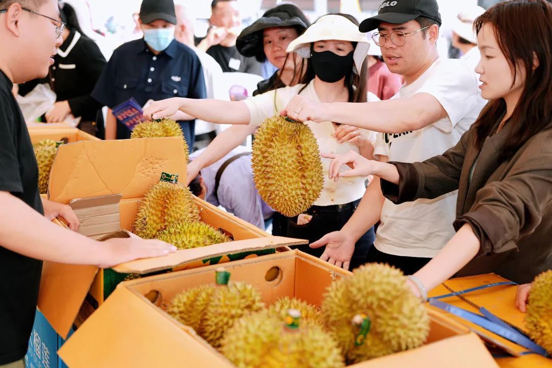 已到1600吨!这种水果“贵族”,价格将迎大跳水 已到1600吨!这种水果“贵族”,价格将迎大跳水